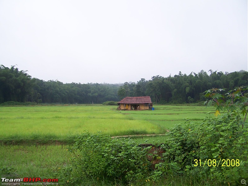 Long weekend getaway - 3 day @ Wayanad-100_2092.jpg