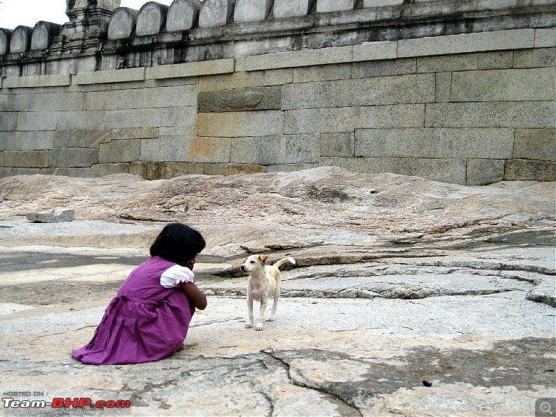 Lepakshi, the most famous one day drive in here!!!!-img_2308.jpg