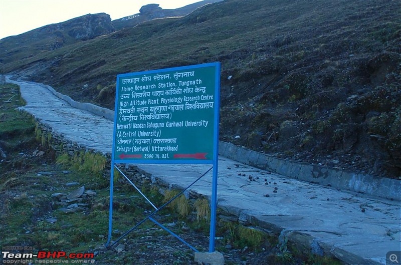 Devbhoomi Garhwal - Rudraprayag, Chopta, Tungnath-Chandrashila Trek-dsc_0275-large.jpg