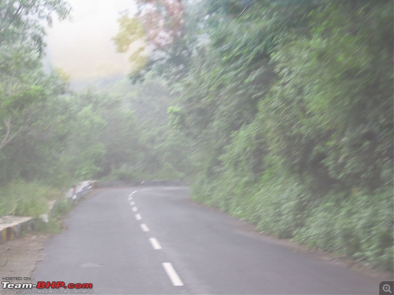 Yercaud-->Been there, Roamed there and Enjoyed-img_3632.jpg