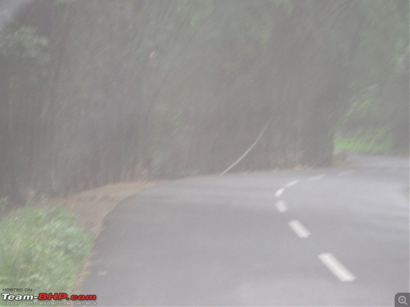 Yercaud-->Been there, Roamed there and Enjoyed-img_3634.jpg