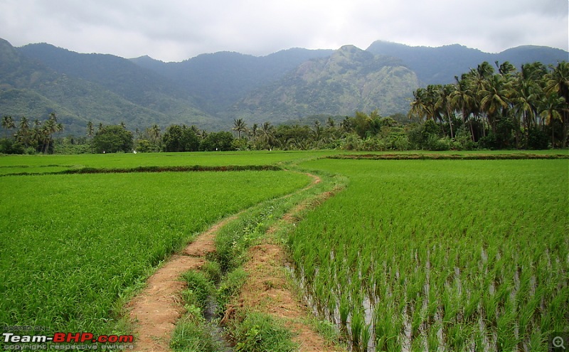 Witness to the Start of A Farming Season in Tamilnadu-dsc07528.jpg