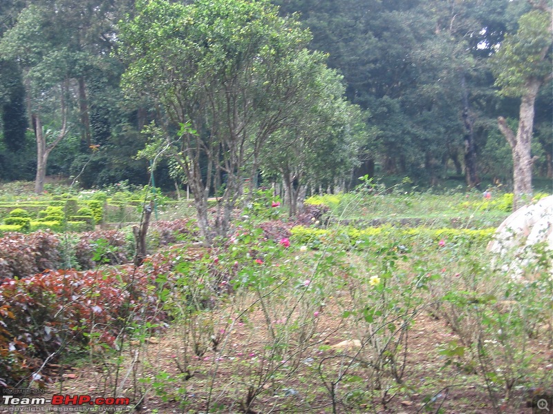 Yercaud-->Been there, Roamed there and Enjoyed-img_3770.jpg