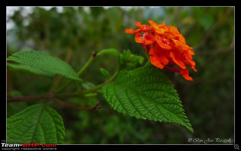 Back to mother nature and a piece of history : A family trek to Purandar Fort-purandar27nov2010_007.jpg