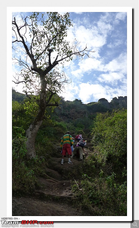 Back to mother nature and a piece of history : A family trek to Purandar Fort-purandar27nov2010_058.jpg