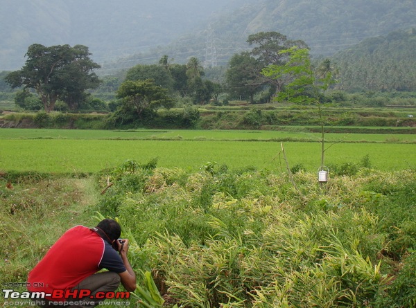 Witness to the Start of A Farming Season in Tamilnadu-dsc07475.jpg