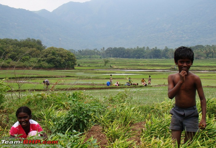 Witness to the Start of A Farming Season in Tamilnadu-dsc07679.jpg