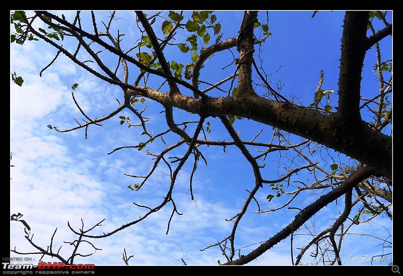 Back to mother nature and a piece of history : A family trek to Purandar Fort-purandar27nov2010_104.jpg