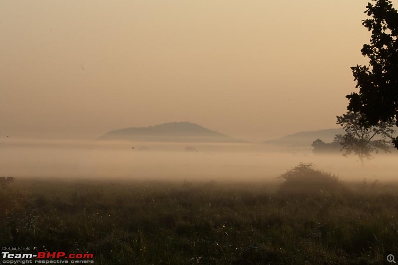 Kaziranga-assam-173.jpg