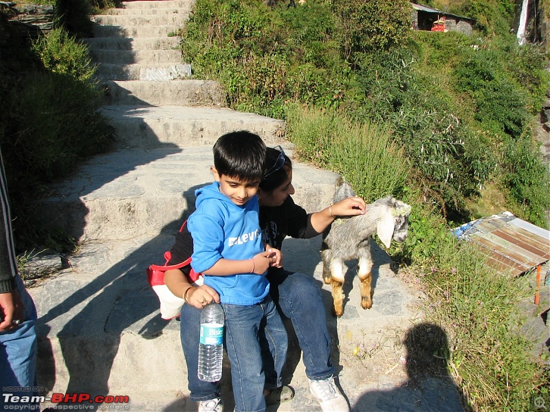 Rajdhani, City Of Temples, Govt in Exile & a culture that is trying hard to survive-mcleodganj-546kid4.jpg