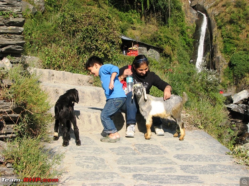 Rajdhani, City Of Temples, Govt in Exile & a culture that is trying hard to survive-mcleodganj-548kid5.jpg