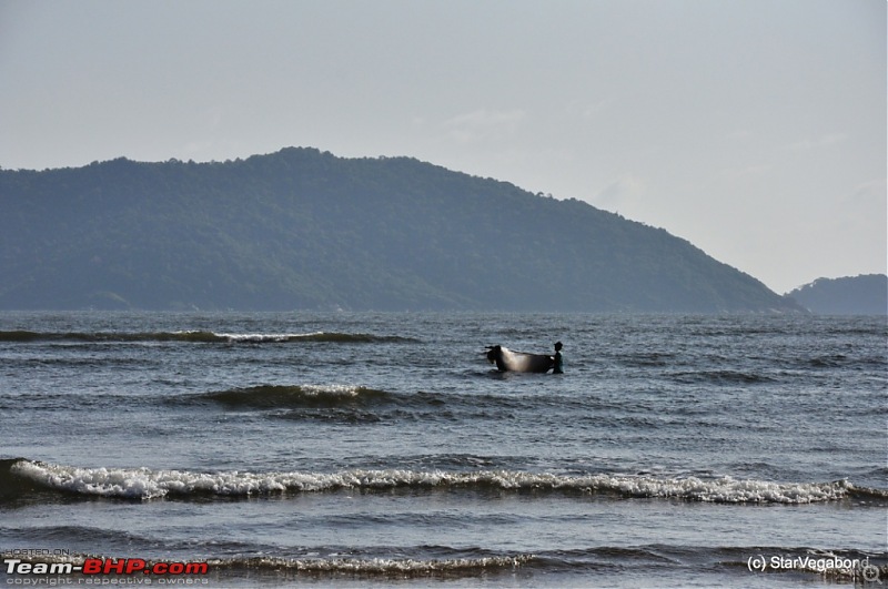 Micro-Travelogue : Devbagh Beach Resort at Karwar-057-trying-learn-what-strategy-catch-fish.jpg