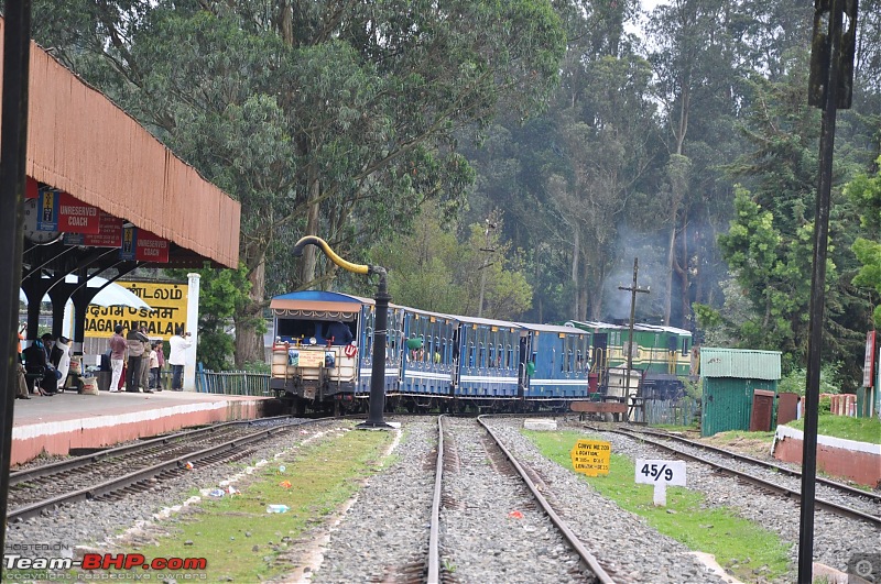 4 days in Ooty  drive from Chennai-dsc_0448.jpg