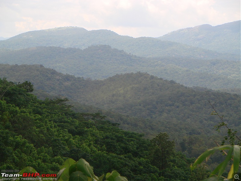 A Rainy Day in Bonacord-dsc00575.jpg