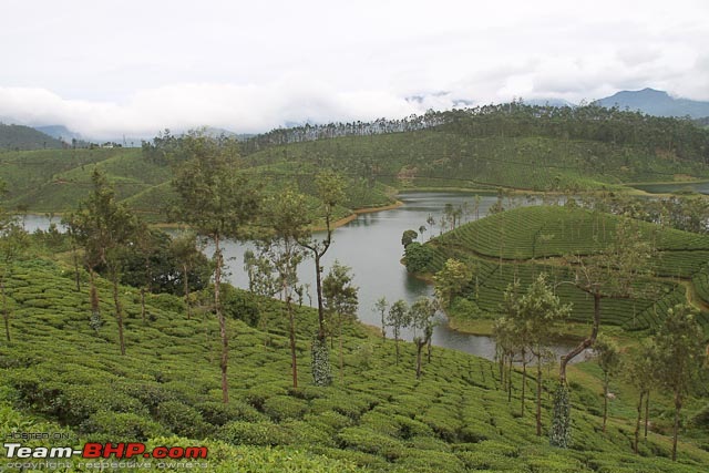 Misty Mountain Hop - A Tale Of Twists & Turns On The Road To Munnar-img_1960.jpg