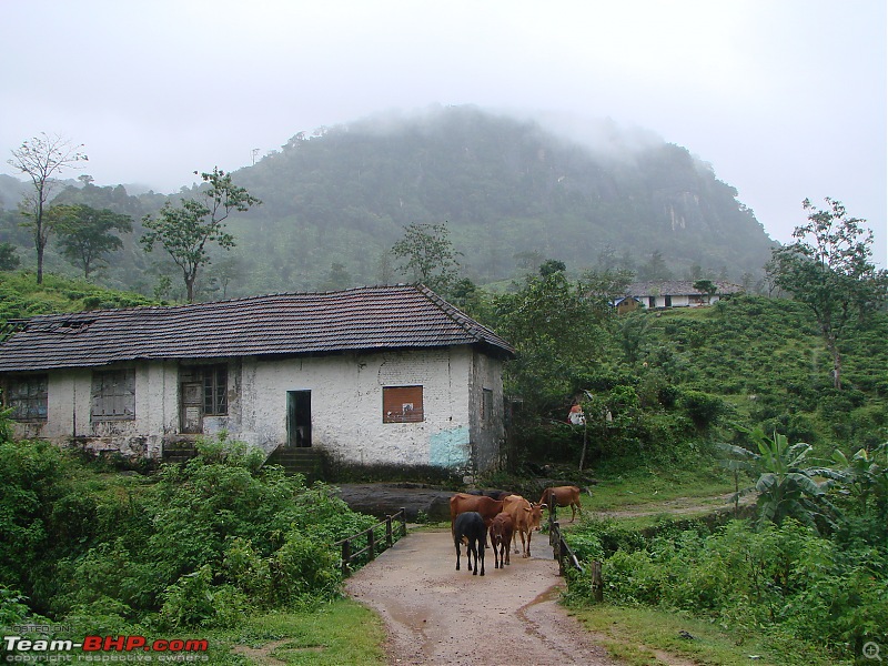 A Rainy Day in Bonacord-dsc00721.jpg