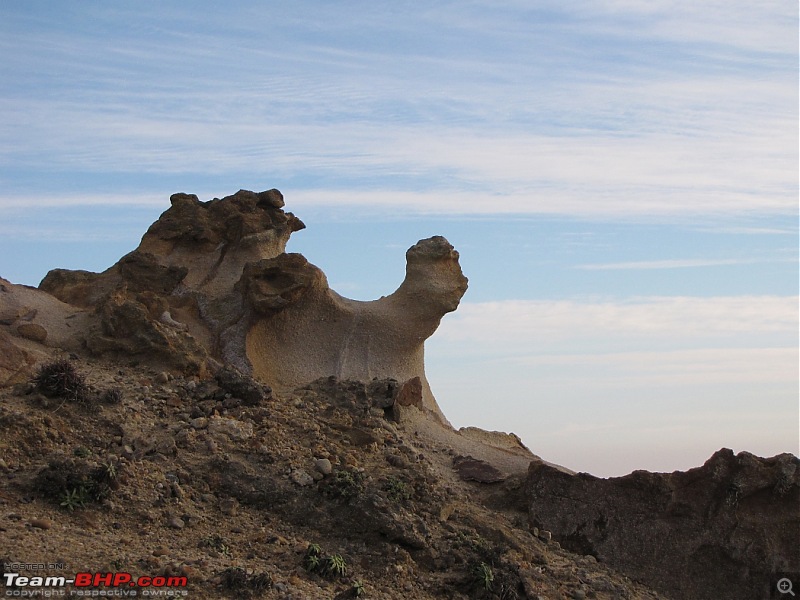 San Francisco: The bad boy chronicles. EDIT: Point Reyes, Pics added.-img_8248.jpg