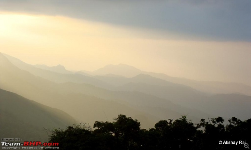 Trek to Tadiyandamol , Tadiya..... what ..?-dsc09456.jpg