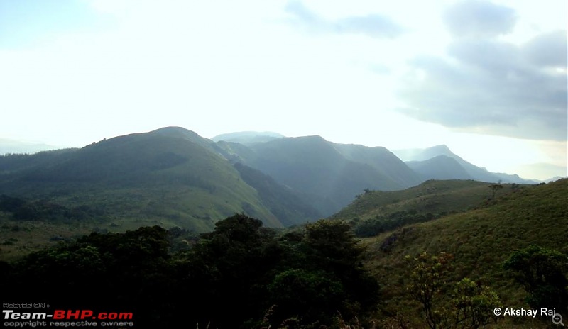 Trek to Tadiyandamol , Tadiya..... what ..?-dsc09469.jpg