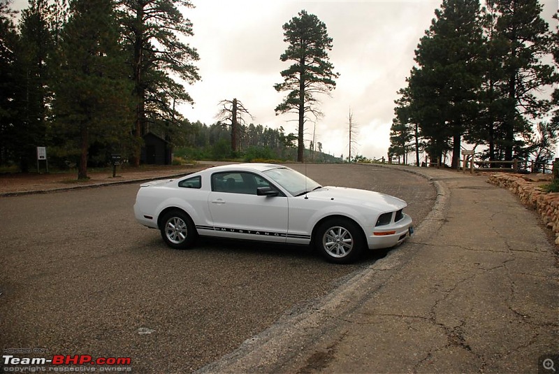 210 Horses around a River - The GRAND Canyon-dsc_0153-large.jpg