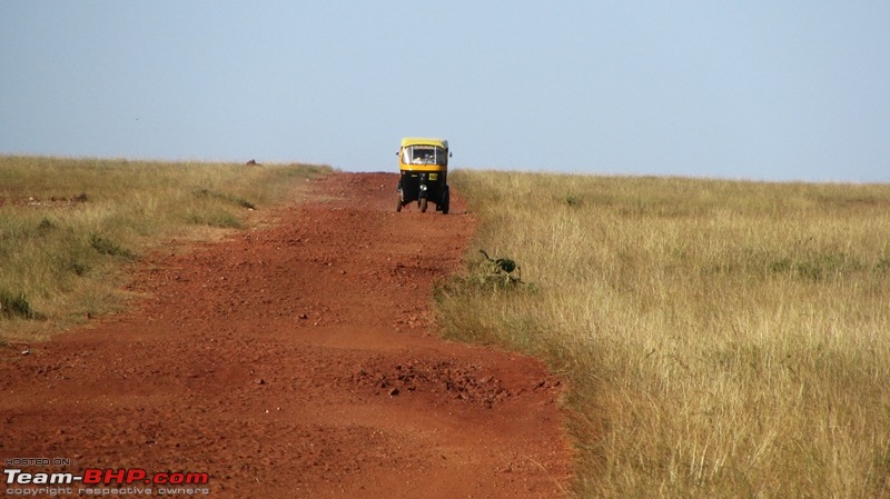 Day trip to the Beautiful Grasslands of Bangalore-img_0080.jpg