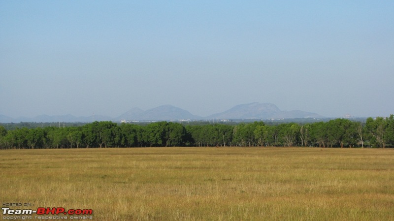 Day trip to the Beautiful Grasslands of Bangalore-img_0158.jpg