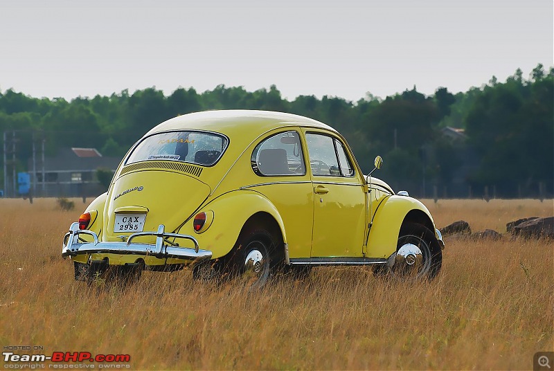 Day trip to the Beautiful Grasslands of Bangalore-dsc_6603.jpg