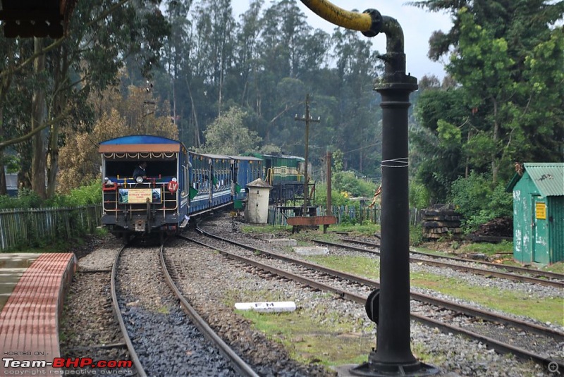 Photologue-The Nilgiri Mountain Rail-dsc_6276.jpg