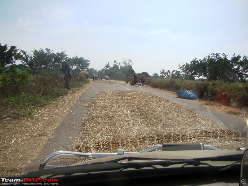 Southern Odyssey : 5000 kms through South India-26-husk-road.jpg