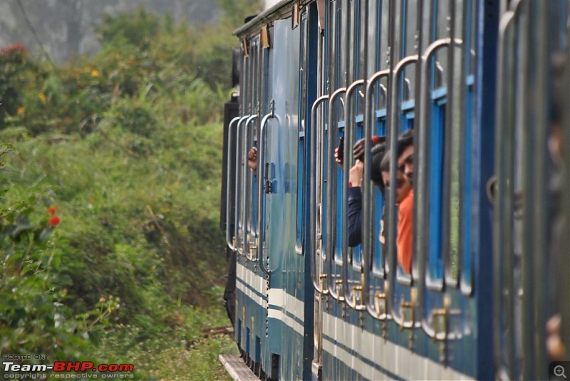 Photologue-The Nilgiri Mountain Rail-dsc_6400.jpg