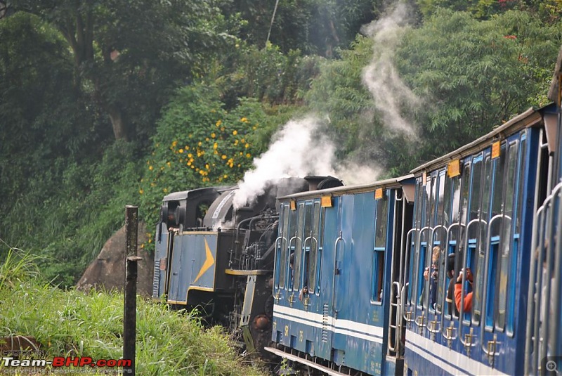 Photologue-The Nilgiri Mountain Rail-dsc_6408.jpg