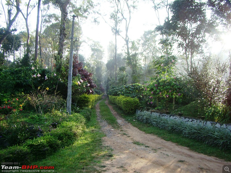 Southern Odyssey : 5000 kms through South India-4-ec-approach-road.jpg