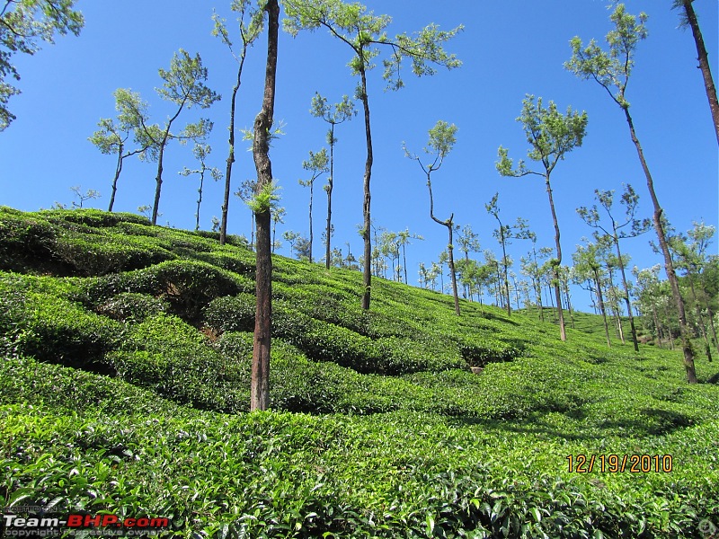 Horanadu, Sringeri, Kollur, Gokarna, Udupi, Karkala, Moo dbidri, Mangalore, Dharmasthala, Kukke-kottigehara-horanadu-view1.jpg