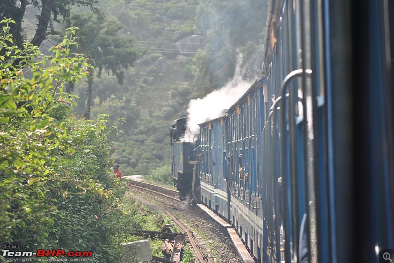 Photologue-The Nilgiri Mountain Rail-dsc_6426.jpg