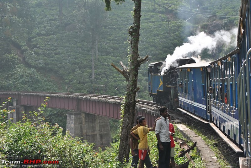 Photologue-The Nilgiri Mountain Rail-dsc_6428.jpg