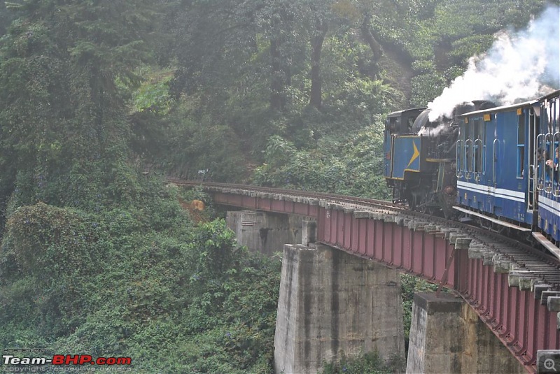 Photologue-The Nilgiri Mountain Rail-dsc_6431.jpg