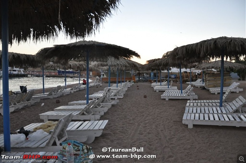 My Egypt Days : Photologue-dsc_3035.jpg