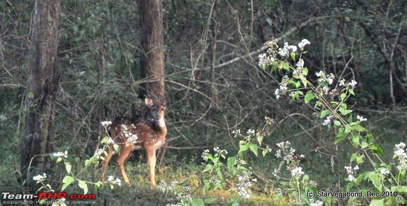 Story of a Vacation II : A page out of Jungle Book & experiencing God's Own Country-241-guy-posed-one-more-picture.jpg