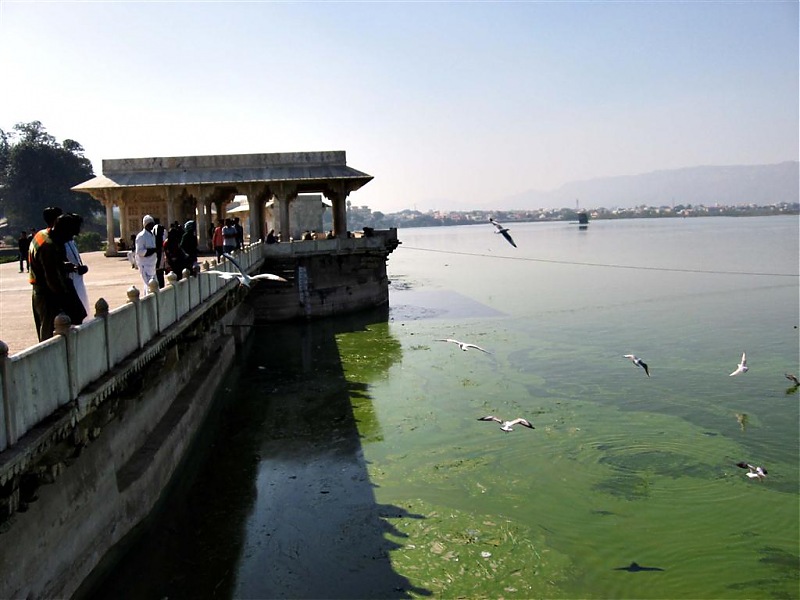 Yet another Rajasthan trip - Sambhar lake, Ajmer, Pushkar, Osian (Jodhpur), Jaisalmer-img_9600.jpg