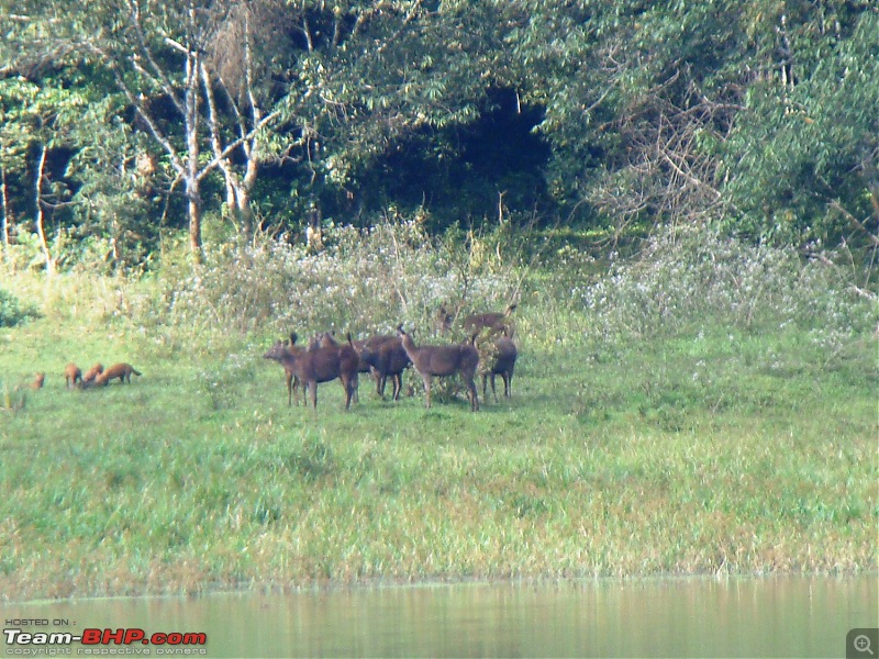 Southern Odyssey : 5000 kms through South India-3-standoff-2.jpg