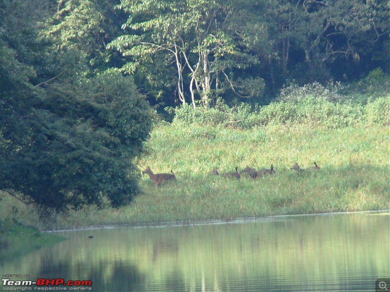 Southern Odyssey : 5000 kms through South India-3-standoff-3-chase.jpg