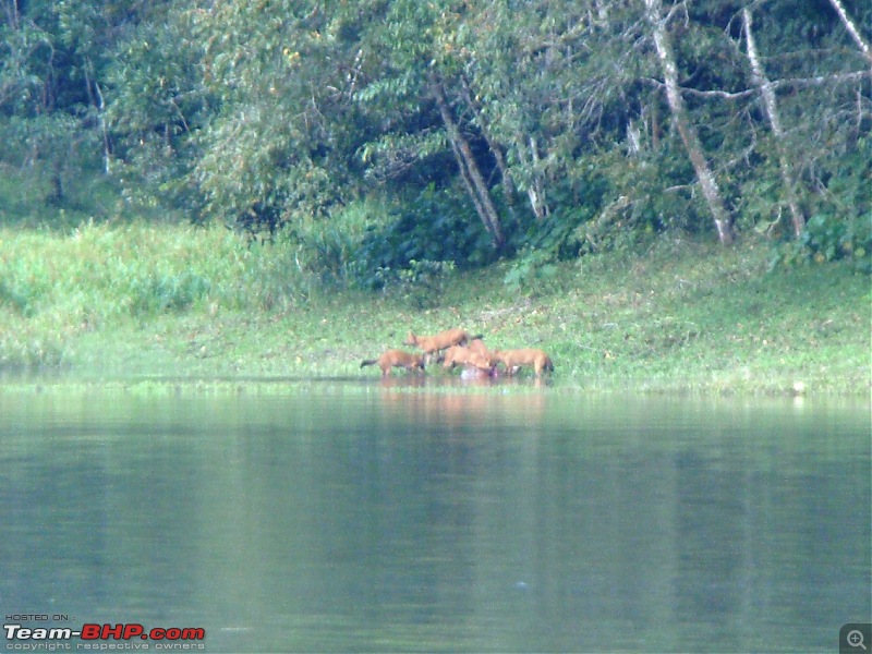 Southern Odyssey : 5000 kms through South India-3-standoff-3-killed.jpg