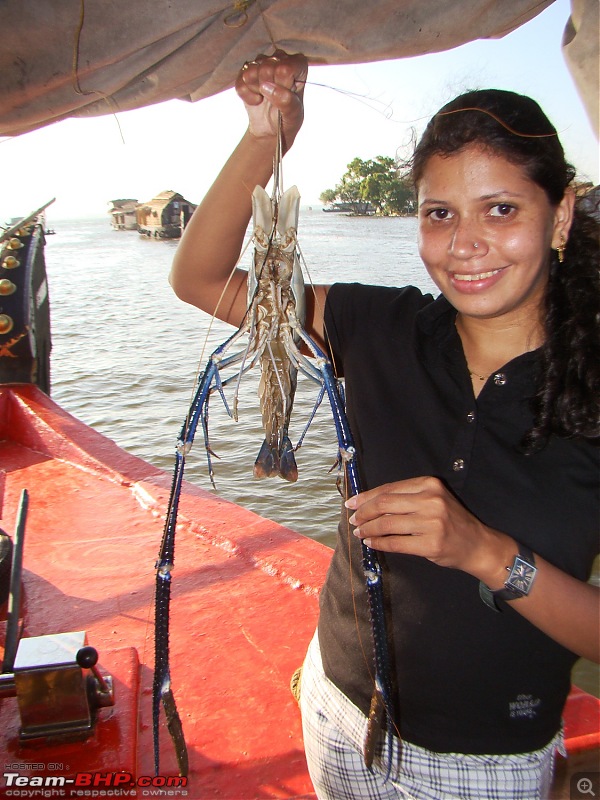 Southern Odyssey : 5000 kms through South India-27-freshwater-prawn.jpg