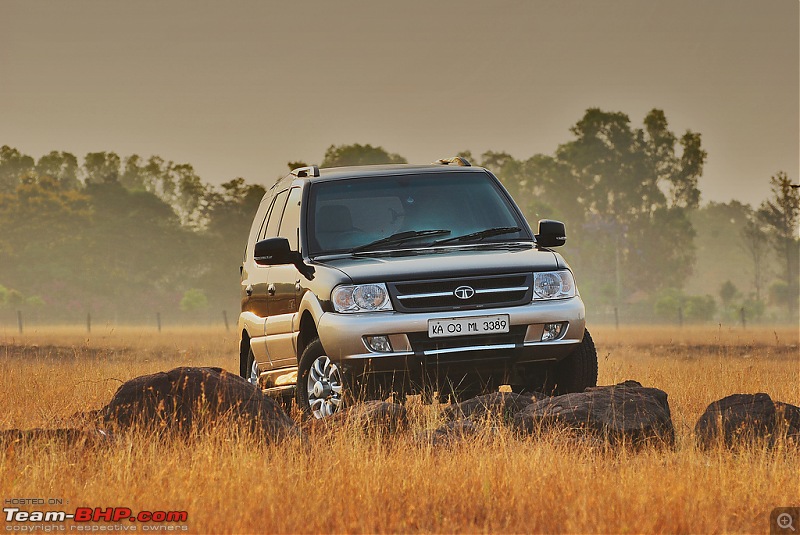 Day trip to the Beautiful Grasslands of Bangalore-3.jpg