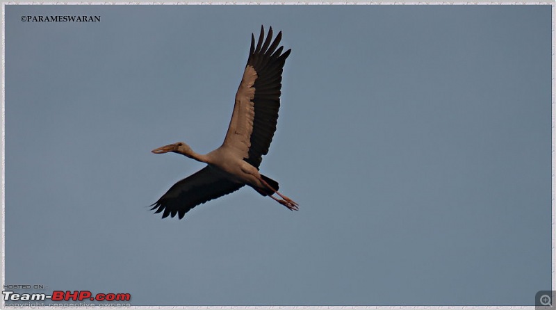 The Vedanthangal Trip-1-1.jpg