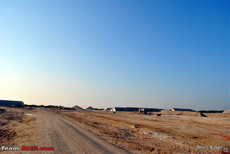 Raiders of the Rann: A Kachchhi Kaleidoscope (Gujarat)-dsc_1147.jpg