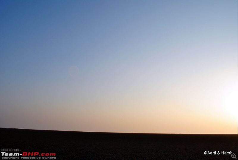 Raiders of the Rann: A Kachchhi Kaleidoscope (Gujarat)-dsc_1219.jpg