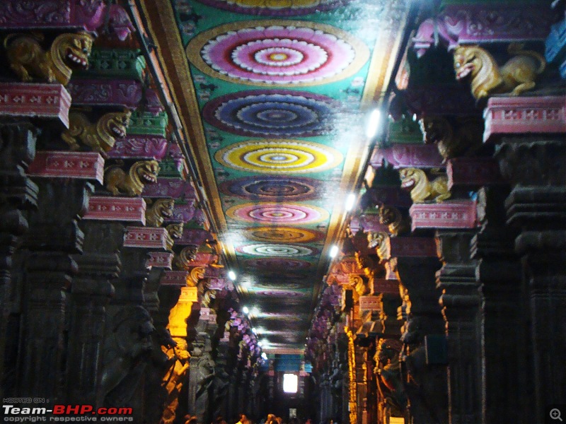 Southern Odyssey : 5000 kms through South India-10-meenakshi-temple-celing.jpg