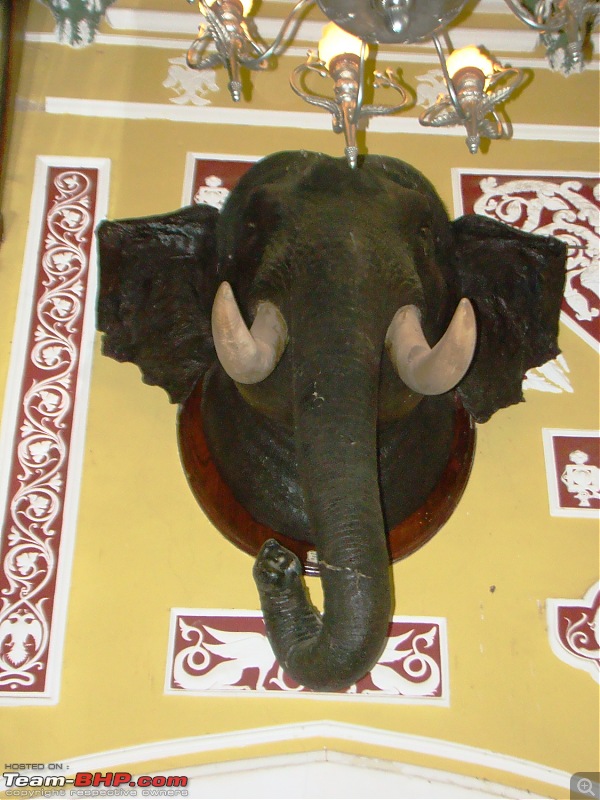 Southern Odyssey : 5000 kms through South India-10-bangalore-palace-elephant-head.jpg
