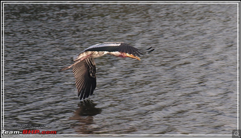 The Vedanthangal Trip-1-18.jpg